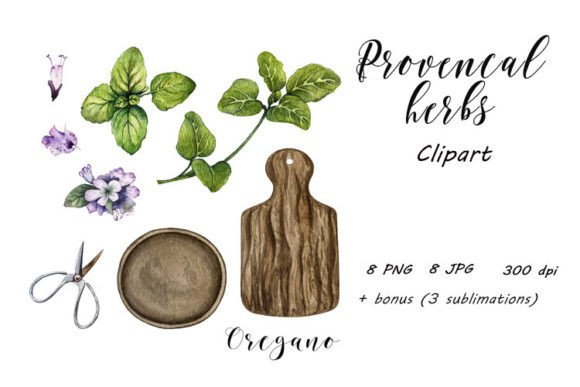 Download Provence Herbs, Oregano Clipart PNG, JPG - Oregano Collection