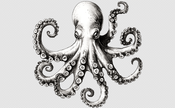 Download Octopus PNG Sublimation 300 DPI Clipart - 300 dpi Collection