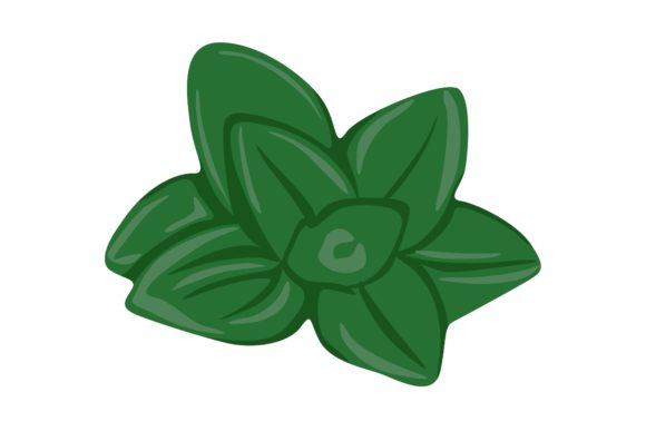 Download Green Oregano Leaves Illustration Vector - Oregano Collection