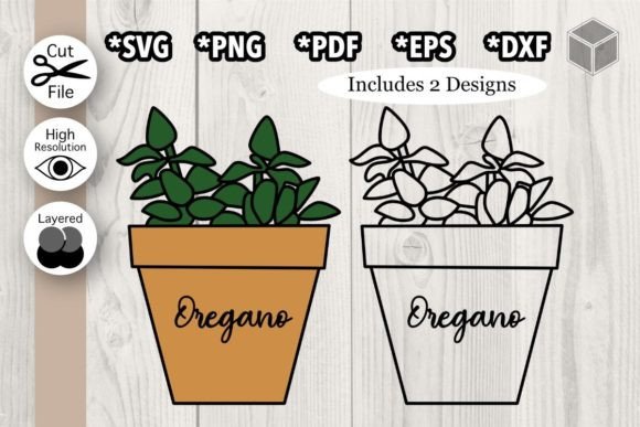 Download Oregano Plant - Oregano Collection