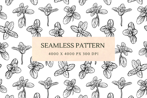 Download Basil and Oregano Leaves Pattern - Oregano Collection