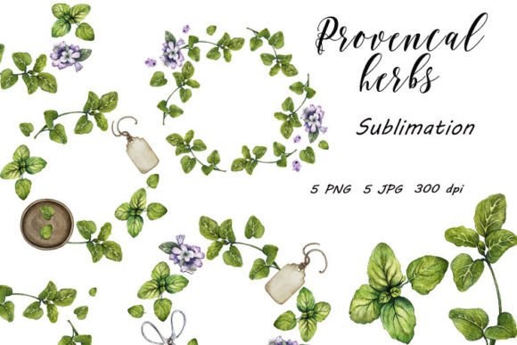 Download Wreath Oregano Sublimation Herbs PNG JPG - Oregano Collection
