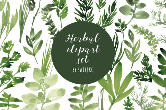 Download Watercolor Herbs, Basil, Oregano, Mint - Oregano Collection