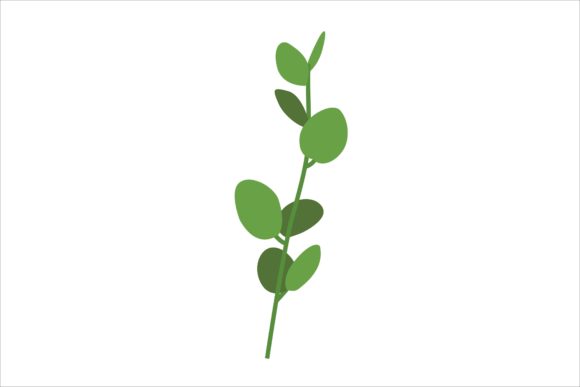 Download Oregano Fresh Leaves Illustration - Oregano Collection